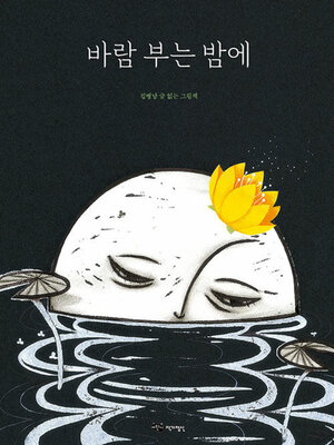 cover image of 바람 부는 밤에